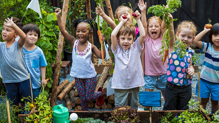 Mehrere Kinder im Kindergartenalter stehen vor einem Gemüsebeet und halten lachend Gemüse in den Händen.